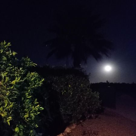 La Buganvilla, Descanso Entre Olivares Hornachuelos Ngoại thất bức ảnh