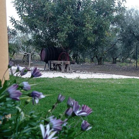 La Buganvilla, Descanso Entre Olivares Hornachuelos Ngoại thất bức ảnh