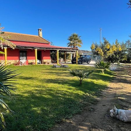 La Buganvilla, Descanso Entre Olivares Hornachuelos Ngoại thất bức ảnh