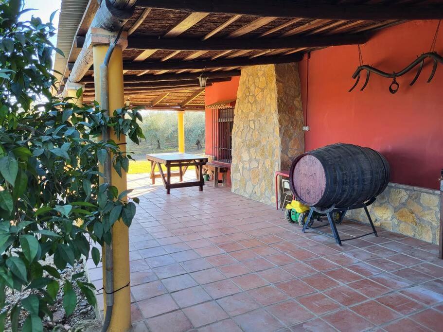 La Buganvilla, Descanso Entre Olivares Hornachuelos Ngoại thất bức ảnh