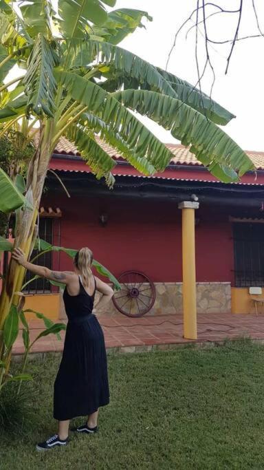 La Buganvilla, Descanso Entre Olivares Hornachuelos Ngoại thất bức ảnh