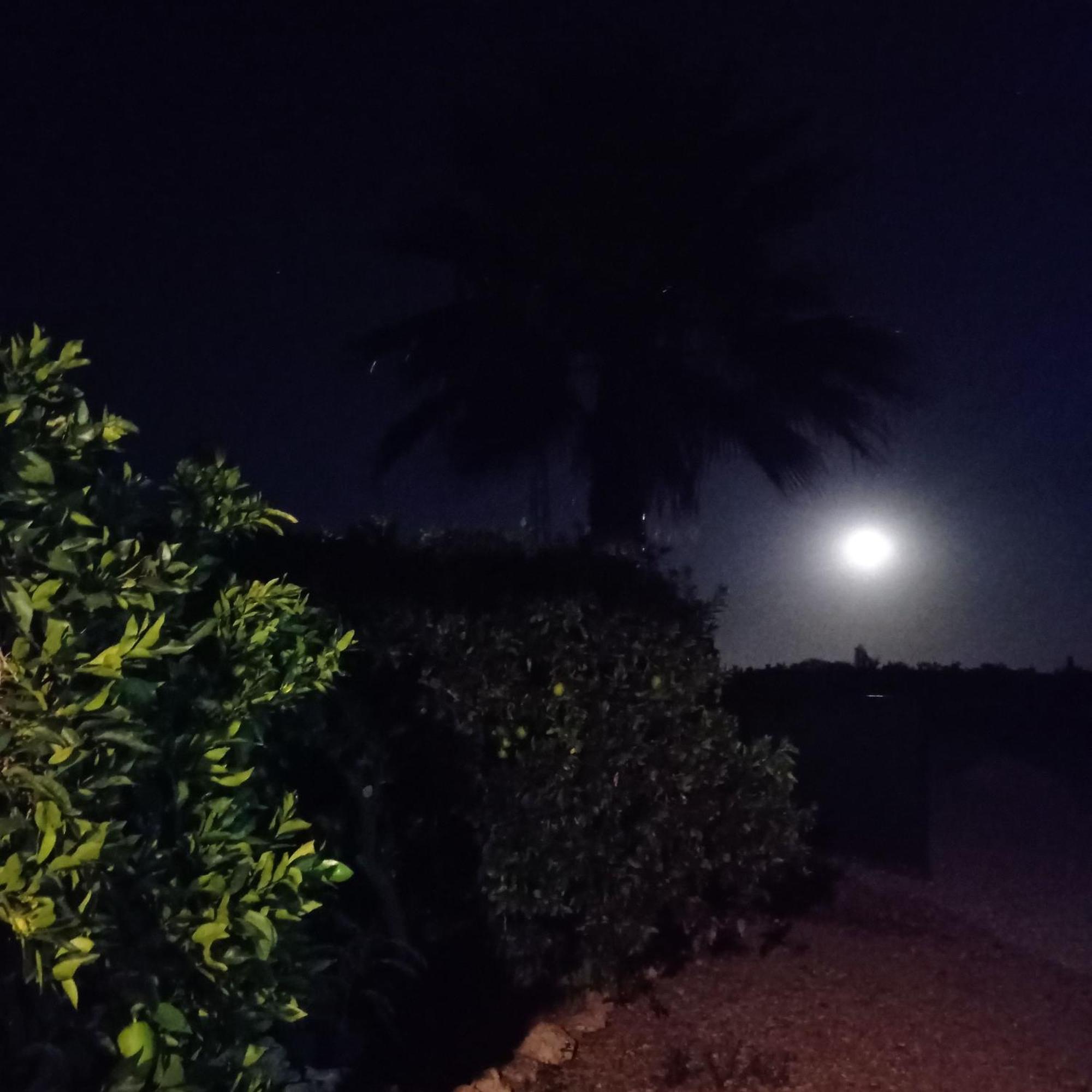 La Buganvilla, Descanso Entre Olivares Hornachuelos Ngoại thất bức ảnh