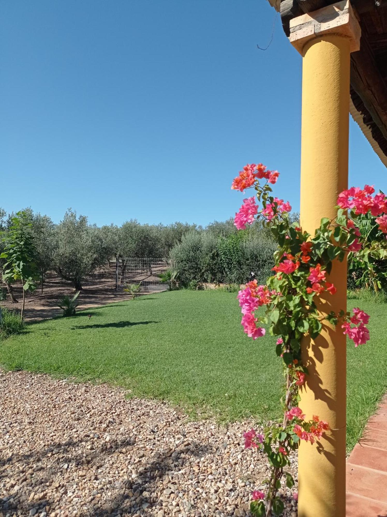 La Buganvilla, Descanso Entre Olivares Hornachuelos Ngoại thất bức ảnh