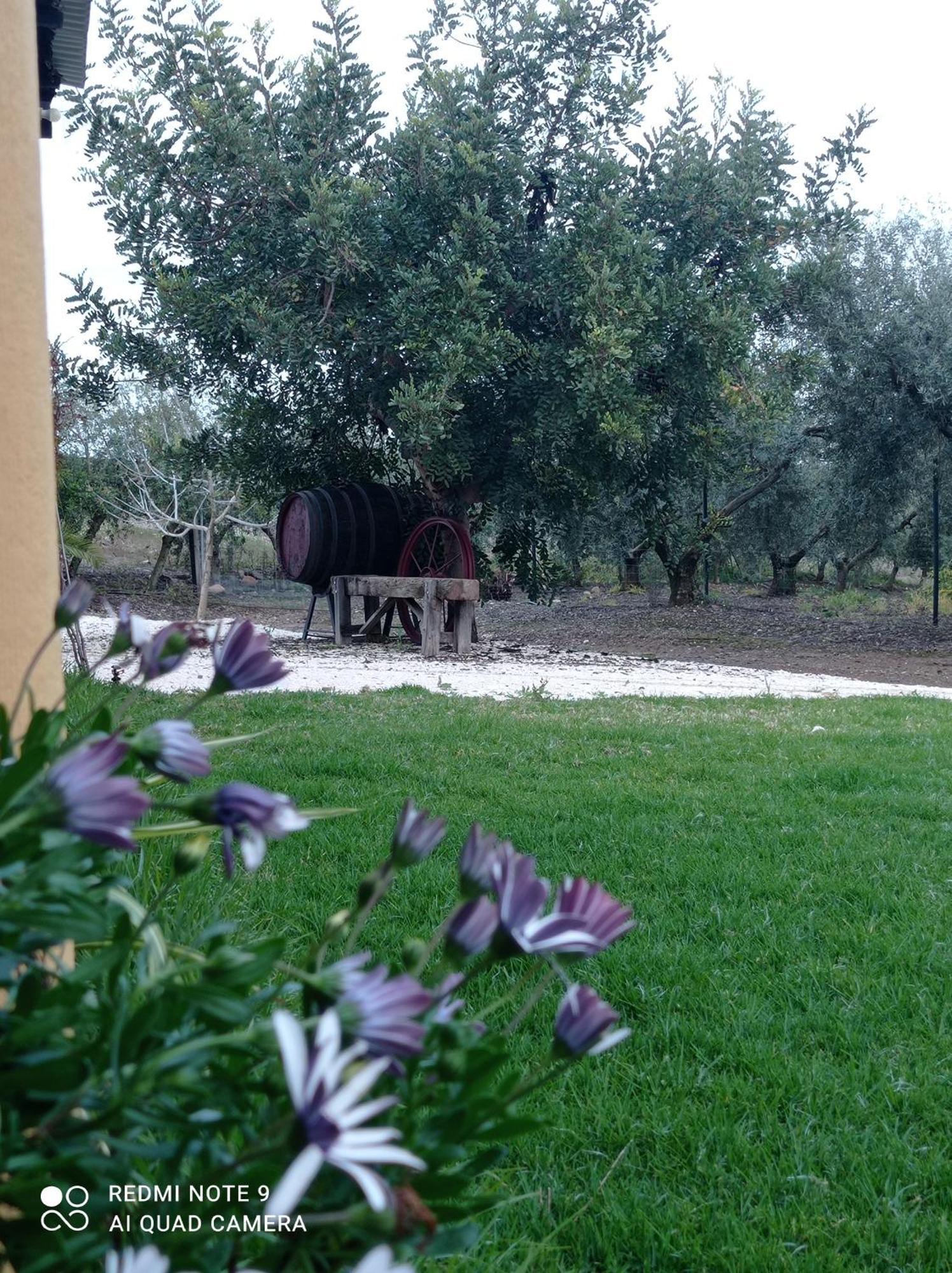 La Buganvilla, Descanso Entre Olivares Hornachuelos Ngoại thất bức ảnh